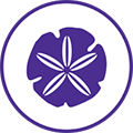 Website_2017_icons_youth_sand-dollar.png
