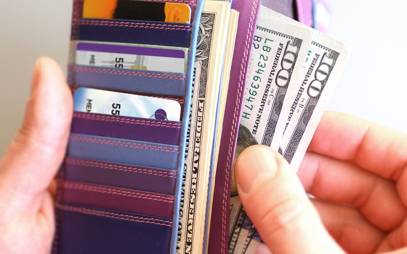 Wallet with cash and Orange County's Credit Union cards