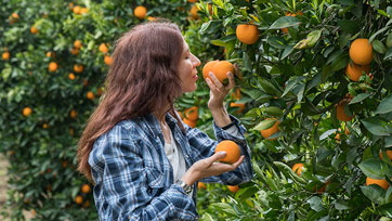 Photo of woman in a fruitful orange orchard