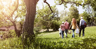 Grandparents, parents, and two children walking through a park with picnic basket