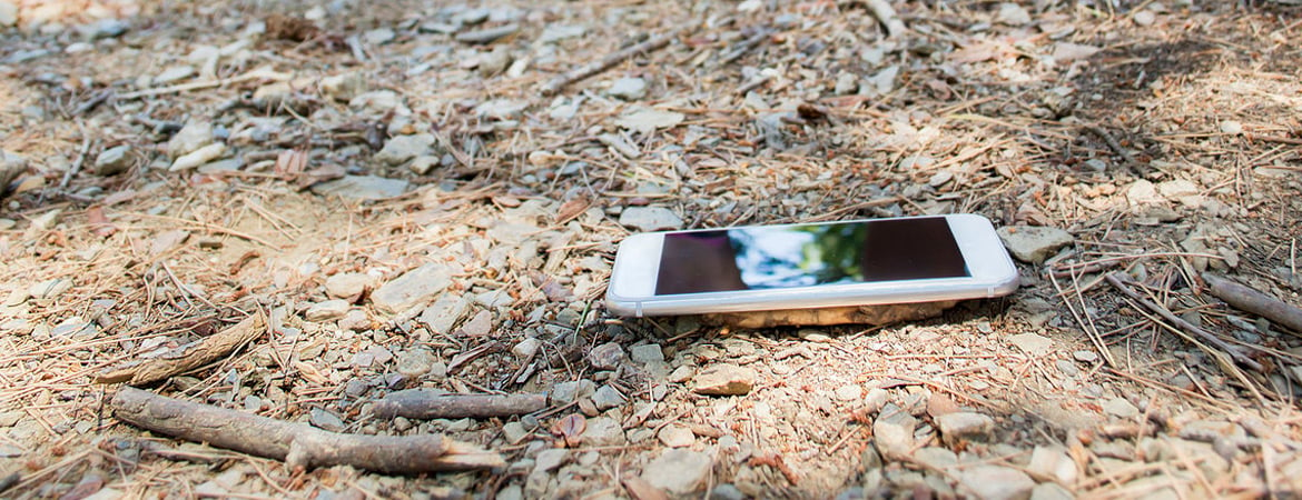 Phone dropped in forest