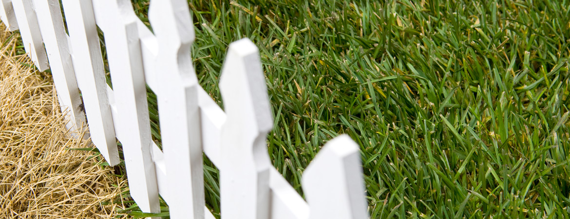 Fence with greener grass on opposite side